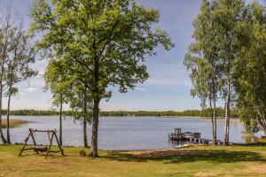 莫雷泰Duriu sodyba的湖上带秋千和码头的公园