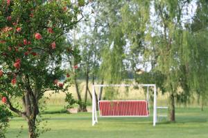 ein Fußballnetz auf einem Feld mit einem Baum in der Unterkunft Agriturismo Ca' Lealtà in Marango di Caorle – Casa Pace