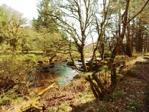 Gallery image of Overcombe House in Yelverton