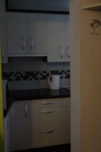 Kuchyňa alebo kuchynka v ubytovaní Mesteri Apartman