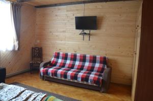 a living room with a couch and a tv on a wall at Rosinka in Yaremche