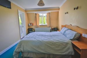 a bedroom with a bed and a window at Diamond Hill Country House in Waterford