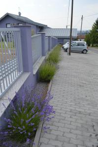 Une clôture violette et quelques fleurs violettes sur un trottoir dans l'établissement Pansion Antonio, à Slavonski Brod