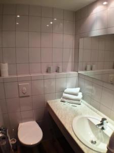 ein Badezimmer mit einem Waschbecken, einem WC und einem Spiegel in der Unterkunft Forsthaus Alter Foerster in Bad Oeynhausen