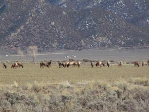 Gallery image of Narrow Gauge Railroad Inn in Antonito