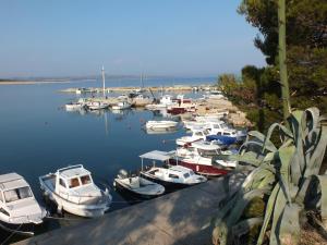 a bunch of boats are docked in a harbor at Apartment Jurja in Povljana +6 photos