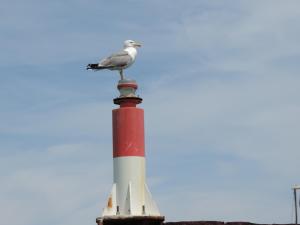 a bird perched on top of a red and white lighthouse at Casa Mama Mia in Moncarapacho