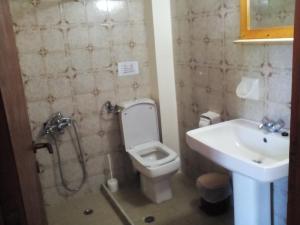 a bathroom with a toilet and a sink at Nikolas Apartments in Kato Daratso