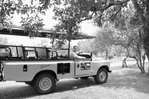 Imagen de la galería de OuKlip Game Lodge, en Klipdrift