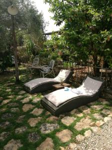 Hemdatya Stone Suites In The Galilee外面的花园
