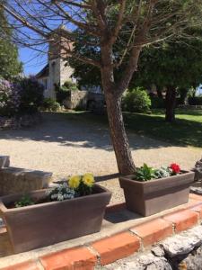Zahrada ubytování Bergerie de Lagarrigue