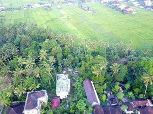 Loftmynd af Pangkung Sari