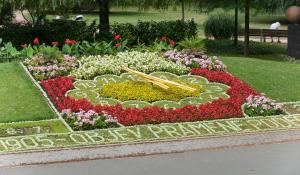 Zahrada ubytování Hotel Bellevue Tlapak