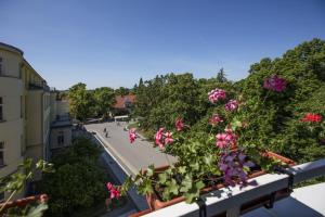 Okolí hotelu