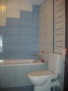 a bathroom with a toilet and a bath tub at Sonatka w Apartamentowcu Sonata in Międzywodzie