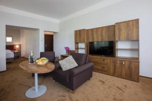 TV a/nebo společenská místnost v ubytování Hotel Bellevue Tlapak