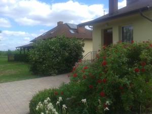 Zahrada ubytování Agroturystyka Agnieszki Murszewskiej