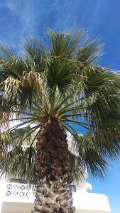 Gallery image of Alta Oura in Albufeira