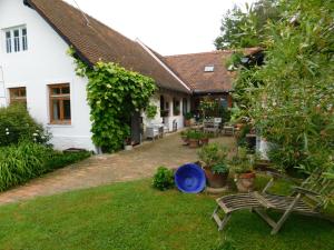 einen Hinterhof eines Hauses mit einem blauen Frisbee auf dem Gras in der Unterkunft Hannas Landhaus in Jennersdorf