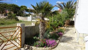 Κήπος έξω από το Apartments Lora