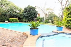 Bazén v ubytovaní OR Tambo Guest House alebo v jeho blízkosti