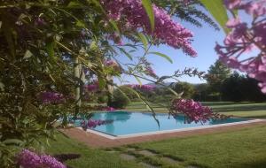 The swimming pool at or close to "encantea" lovely country house
