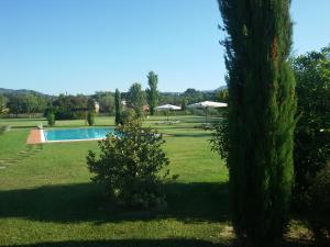 The swimming pool at or close to "encantea" lovely country house