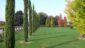 A garden outside "encantea" lovely country house