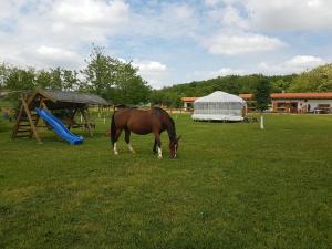 Фотография из галереи Akácliget Vendégház és Major в городе Ófehértó