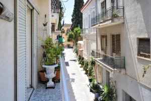 アテネにあるPlaka Elegant Apartmentの鉢植えの町の路地