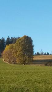Naturlandschaft in der Nähe des Hotels