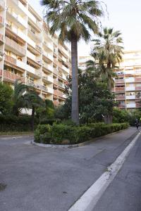 a palm tree in front of a large building at Studio Bord De Mer Nice Ouest in Nice