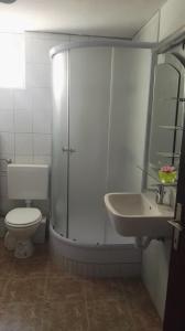 Koupelna v ubytování Apartment Mojca near Bled