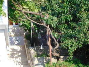 Zahrada ubytování Apartments Ivancevic