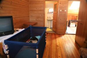 a room with a tv and a dog in a box w obiekcie Gospodarstwo Agroturystyczne Stary Młyn Wilczkowice w Michałowicach
