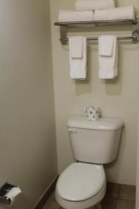 a bathroom with a white toilet and towels at Crystal Springs Inn and Suites in Towanda