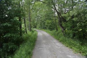 Przyroda w pobliżu tego gospodarstwa agroturystycznego
