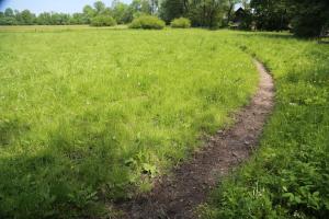 Przyroda w pobliżu tego gospodarstwa agroturystycznego
