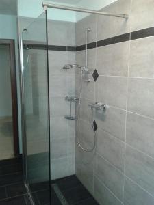 a shower with a glass door in a bathroom at Ferienhaus Schenden in Piesport