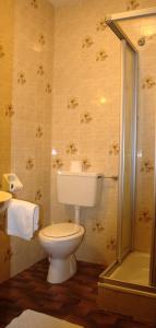 a bathroom with a toilet and a shower at Hotel Bad Bergfall in Valdaora