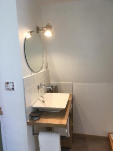 ein Badezimmer mit Waschbecken und Spiegel in der Unterkunft Duplex Little Cottage in Abbeville