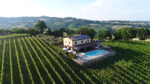 The swimming pool at or close to Villa le Vigne