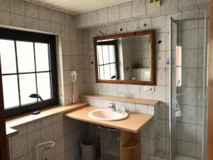 a bathroom with a sink and a mirror at Hotel Restaurant Alt Laubach in Laubach +18 photos