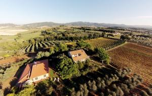 an aerial view of a farm with a house and trees at La Sassetta in Bibbona