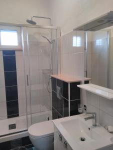 a bathroom with a shower and a toilet and a sink at Apartment Tomo in Ražanj +37 photos