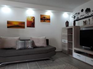 a living room with a couch and a flat screen tv at Bella Casa & Belle Maison in Saarbrücken