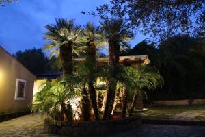 two palm trees in front of a house at night at Villaggio Garden Park in Marina di Camerota