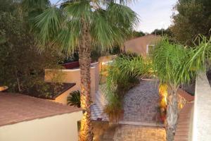 a palm tree in front of a house at Villaggio Garden Park in Marina di Camerota