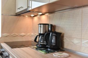 Kuchyň nebo kuchyňský kout v ubytování Apartmani Iva