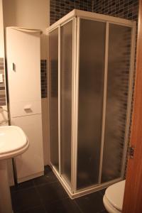 a shower in a bathroom with a sink and a toilet at Alojamiento Losillas 2 in Avila +43 photos